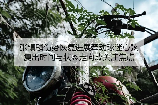 张镇麟伤势恢复进展牵动球迷心弦 复出时间与状态走向成关注焦点